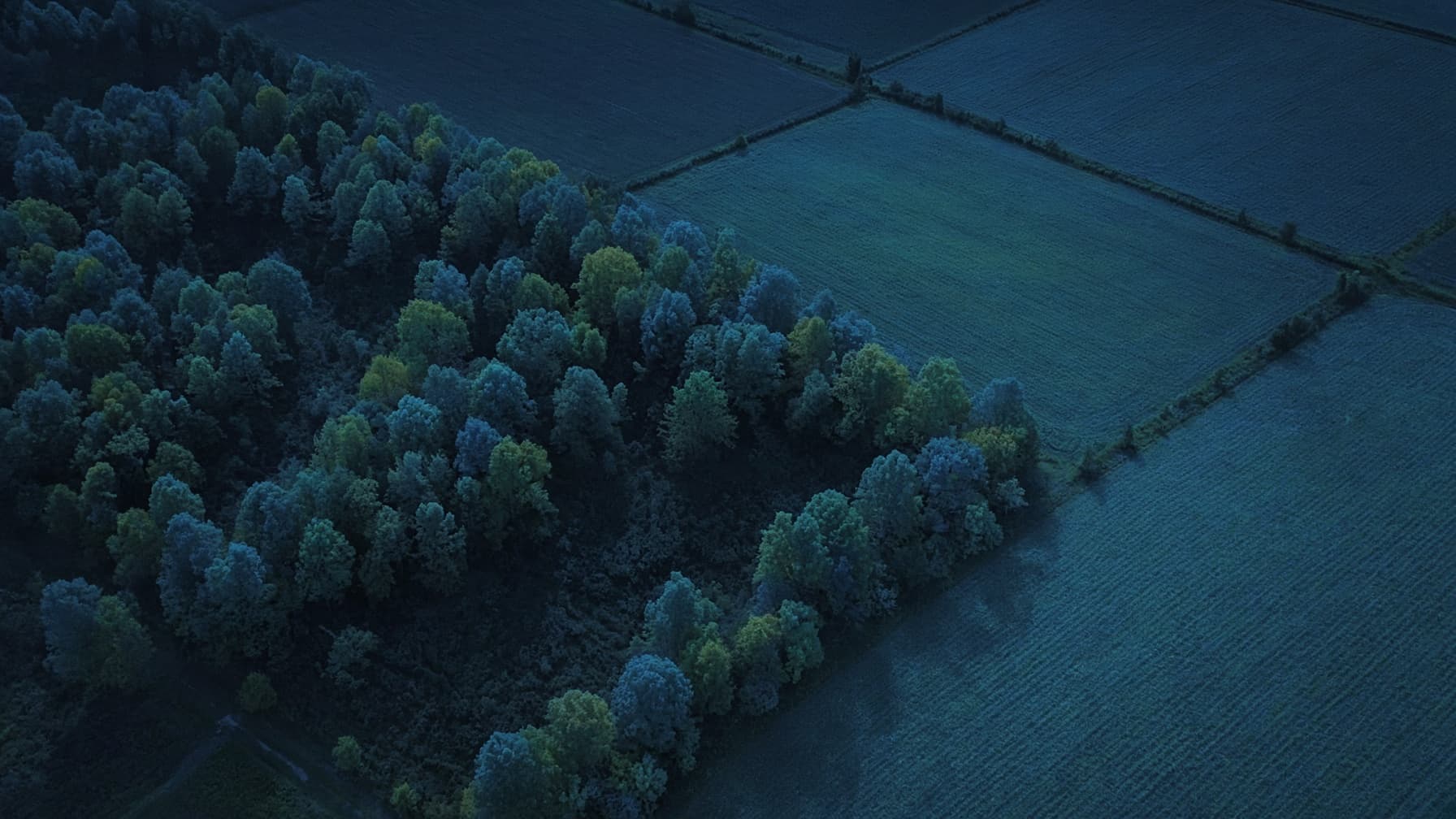 Night aerial over Ohio woods and fields for thermal deer recovery